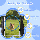 Advwin Dog Agility Training Equipment Set (Pre-Order)