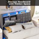 Advwin Queen Floating Bed Frame with LED Lights