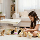 Advwin Foldable Transparent Hamster & Guinea Pig Cage