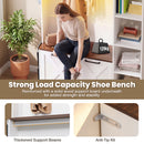 Advwin All-in-One Coat Rack with Flip Shoe Cabinet
