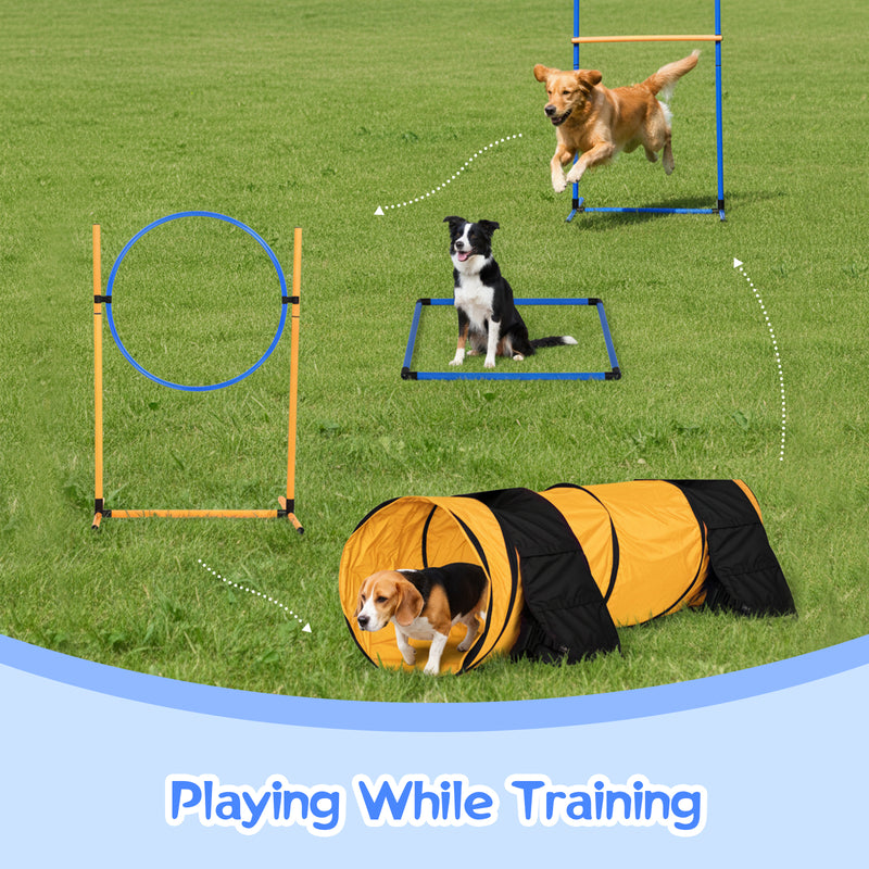 Advwin Dog Agility Equipment Obstacle Course Backyard Set