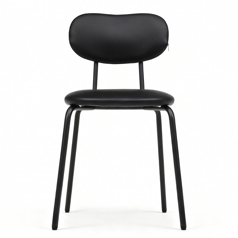 Advwin Kitchen Dining Chairs Black Set of 4