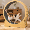 Advwin Cat Exercise Wheel  Running Wheel