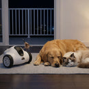 Advwin Smart Funny Pet Companion Robot Camera App Control