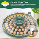 Advwin 52 Eggs Incubator with Temperature Control