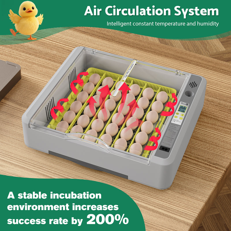 Advwin 36 Eggs Incubator with Automatic Turner
