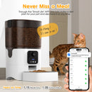 Advwin 6L Automatic Pet Feeder WiFi APP & HD Camera