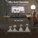 Advwin Electric Standing Desk with Memory Lifting 140cm