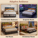 Advwin LED Bed Frame w/ Charging & 2 Drawers