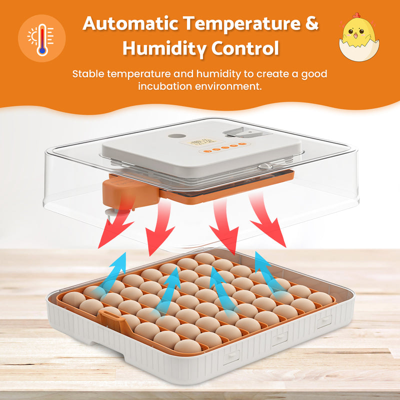 Advwin 56 Eggs Incubator with Temperature Control