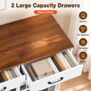 Advwin Dog Crate Furniture with Drawers & Removable Tray