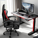 Advwin Gaming Chair w/ Massage Lumbar Cushion