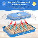 Advwin 70 Eggs Incubator Automatic Egg Turning