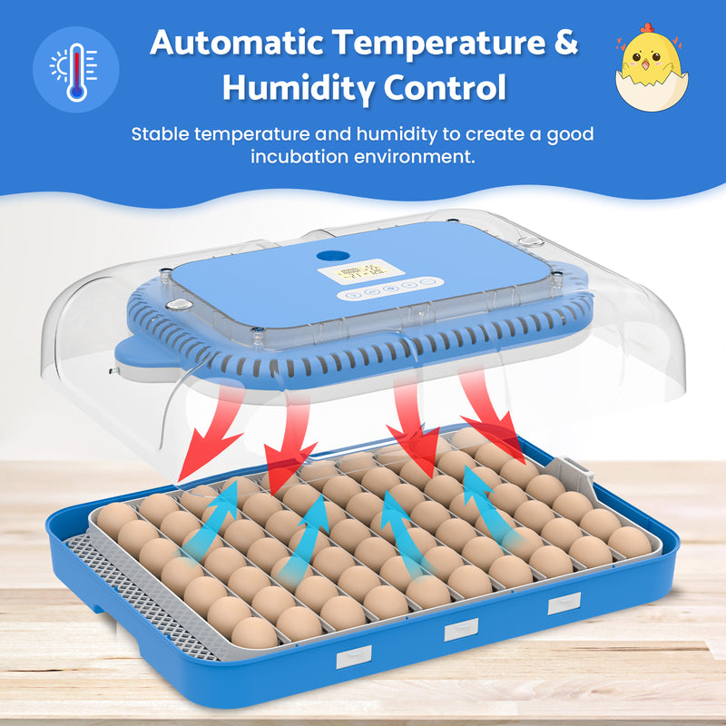 Advwin 70 Eggs Incubator Automatic Egg Turning(Pre-order)