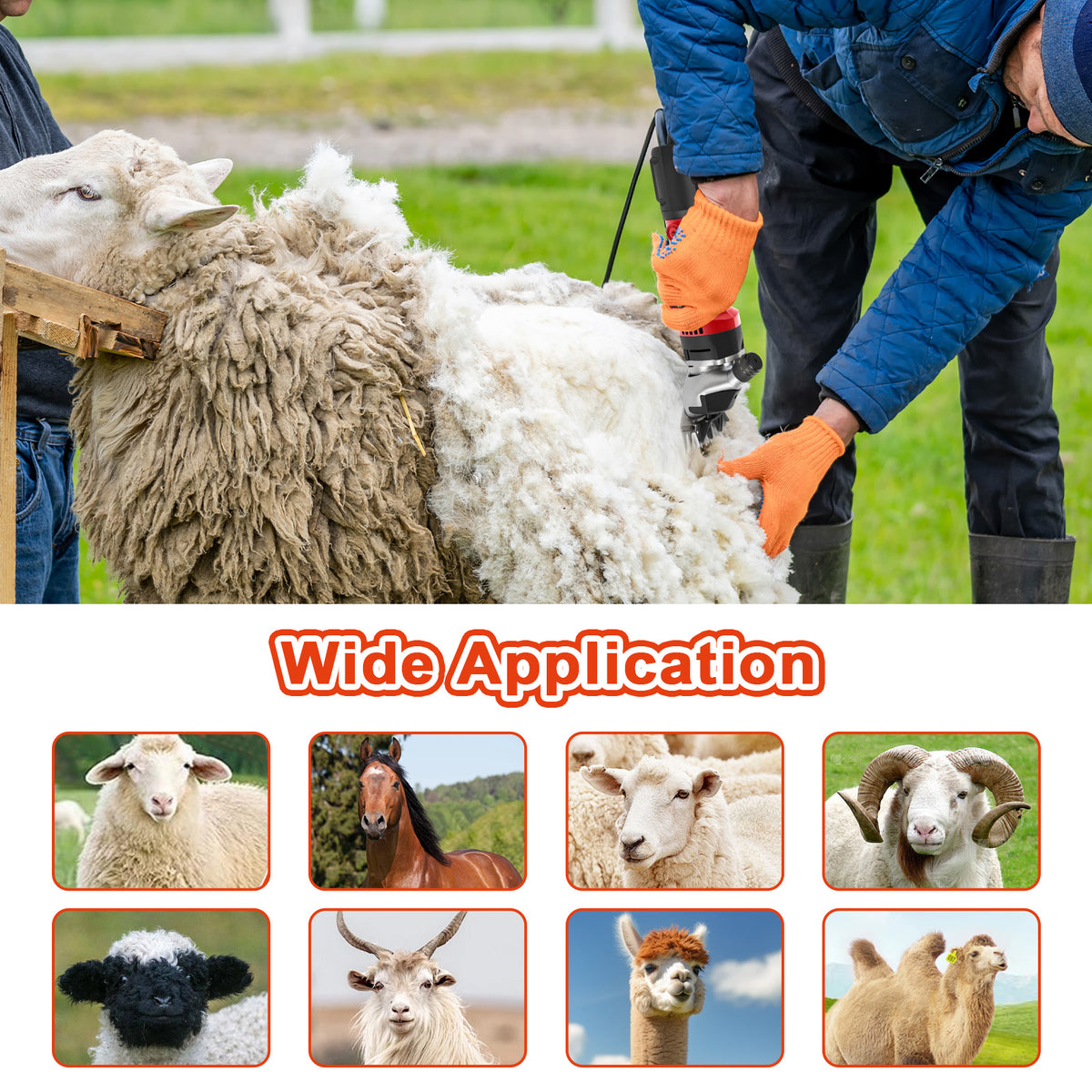 Advwin Electric Sheep Shears 690W 2800R/Min Electric Sheep