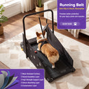 Advwin Indoor Pet Treadmill w/ 360° Rotatable Display