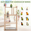 Advwin 3 Layer Parrot Perch Stand with Mirror