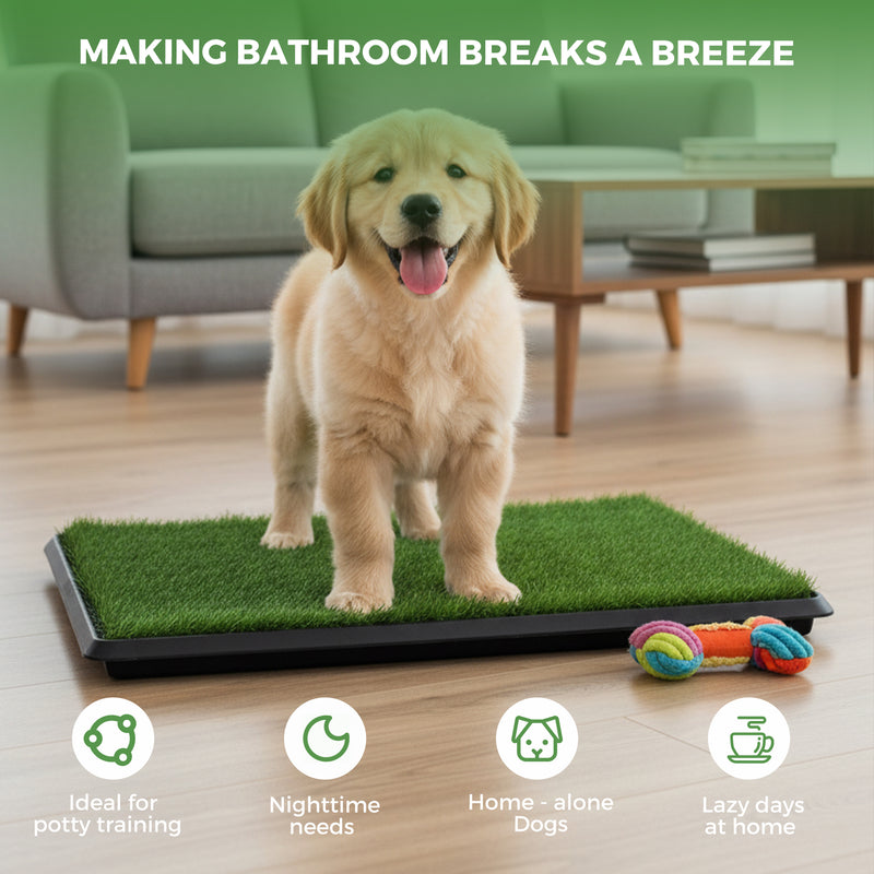 Advwin Dog Grass Pad with Tray