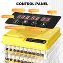 Advwin Egg Incubator with Automatic Egg Turning (288 Eggs)