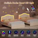 Advwin LED Velvet Bed Frame w/ Adjustable Headboard Double