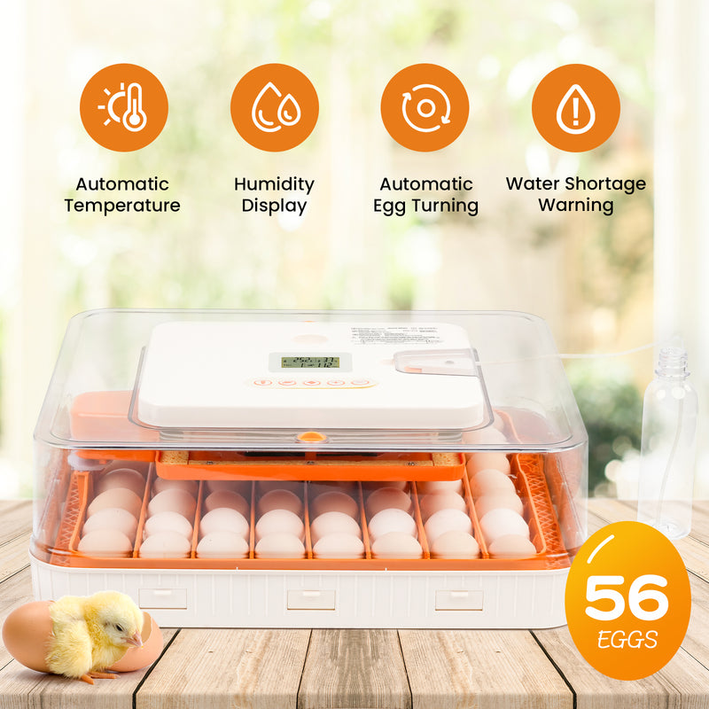 Advwin 56 Eggs Incubator with Temperature Control