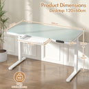 Advwin Electric Standing Desk with Drawer