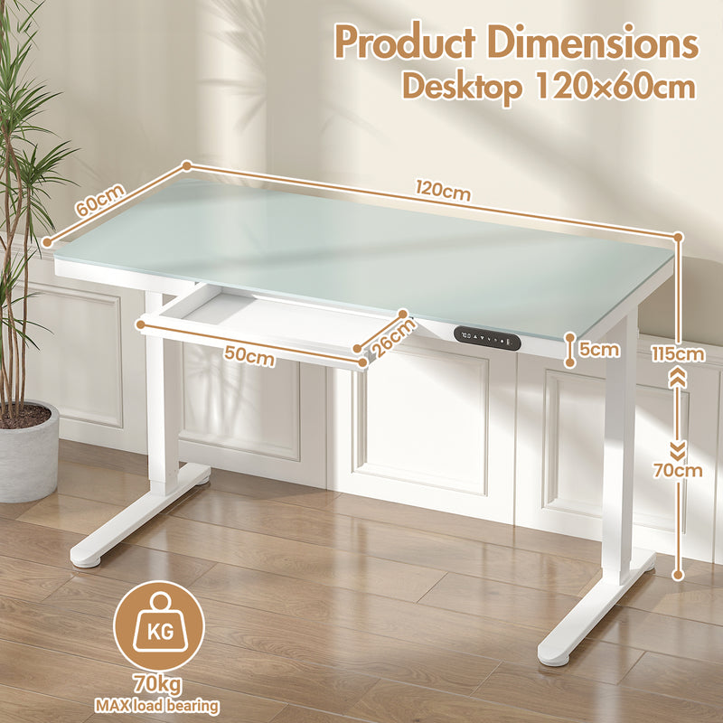 Advwin Electric Standing Desk with Drawer