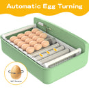 Advwin 32 Egg Incubator Digital LED Brooder