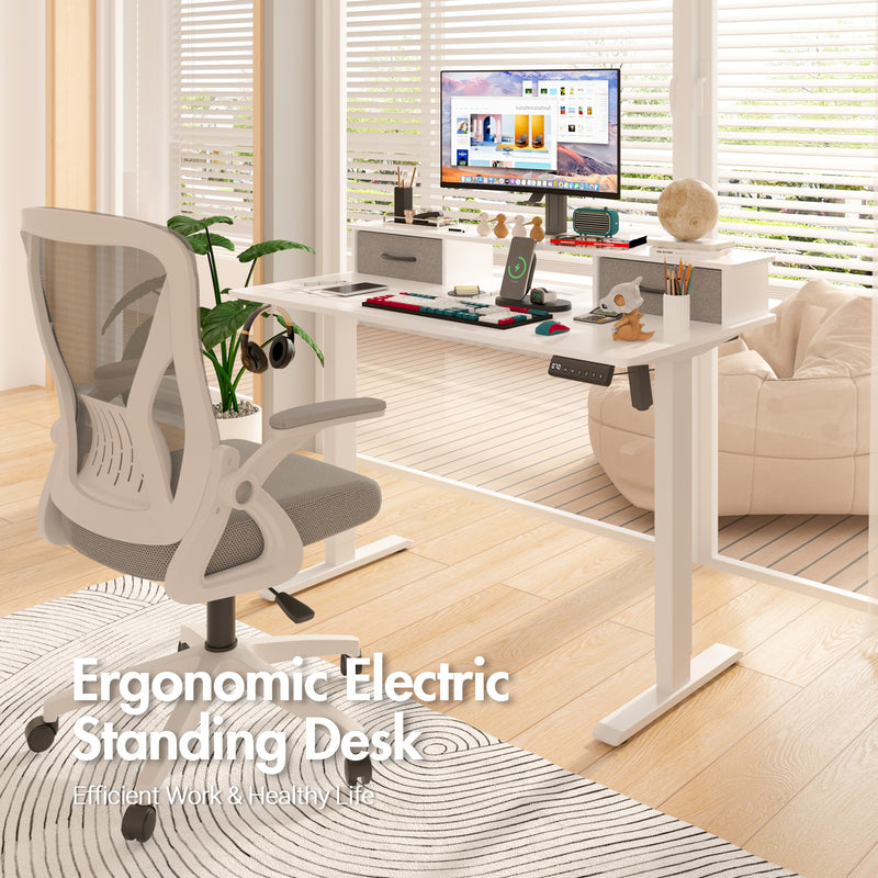 Advwin Electric Standing Desk with Monitor Stand  White