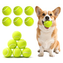 Advwin 12 Pack Exercise Playing Balls for Pet Dog