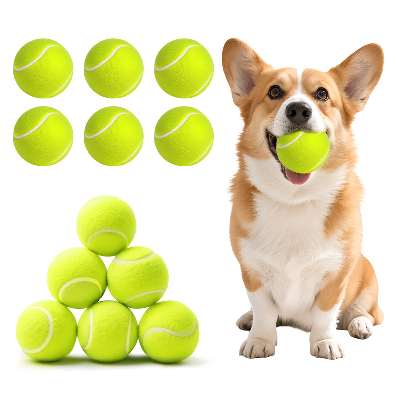 Advwin 12 Pack Exercise Playing Balls for Pet Dog