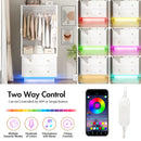 Advwin 2 Doors Armoire Wardrobe Closet with Mirror