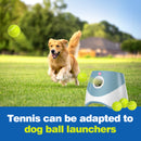 Advwin 12 Pack Exercise Playing Balls for Pet Dog