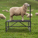 Advwin Livestock Goat Milking Stand Adjustable Height