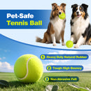 Advwin 12 Pack Exercise Playing Balls for Pet Dog