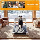 Advwin Dog Treadmill w/ Wide Belt for Small & Medium Dogs