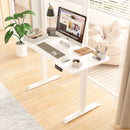 Advwin Electric Standing Desk  Adjustable Height 120cm