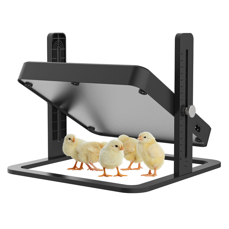 Advwin Chick Brooder Chicken Coop Heater