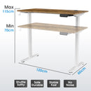 Advwin Treadmill & Electric Standing Desk 120cm